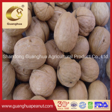 Best Quality 2021 Crop Walnut in Shell